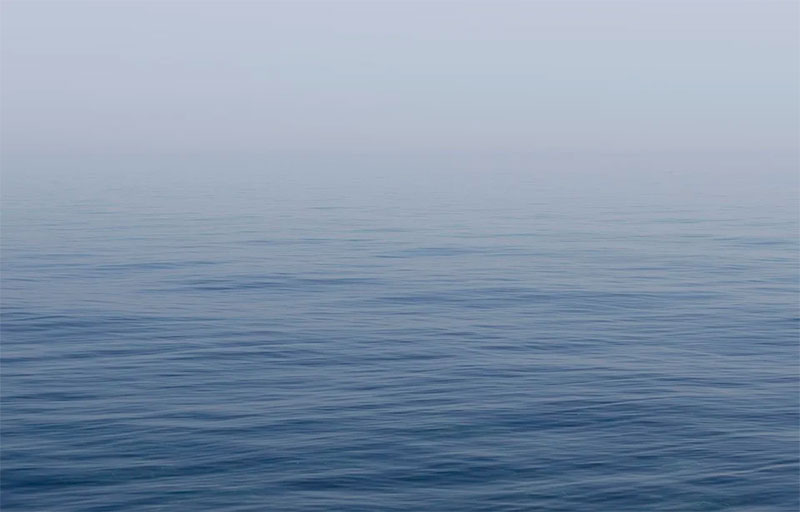 Respetando el medioambiente